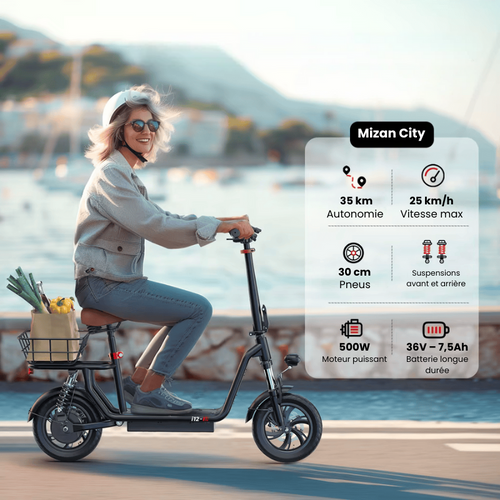 trottinette électrique puissante